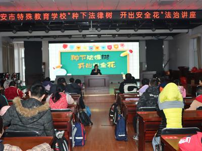 海安特校：种下法律树 开出安全花
